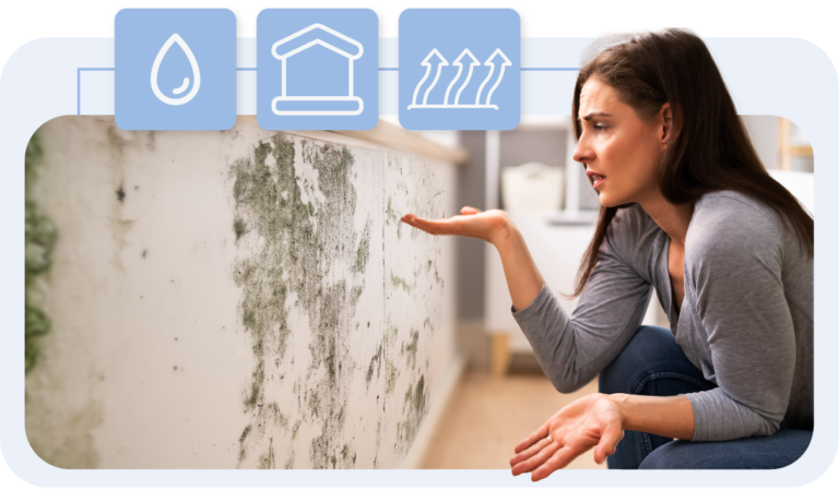 Grupo-902@2x-768x449